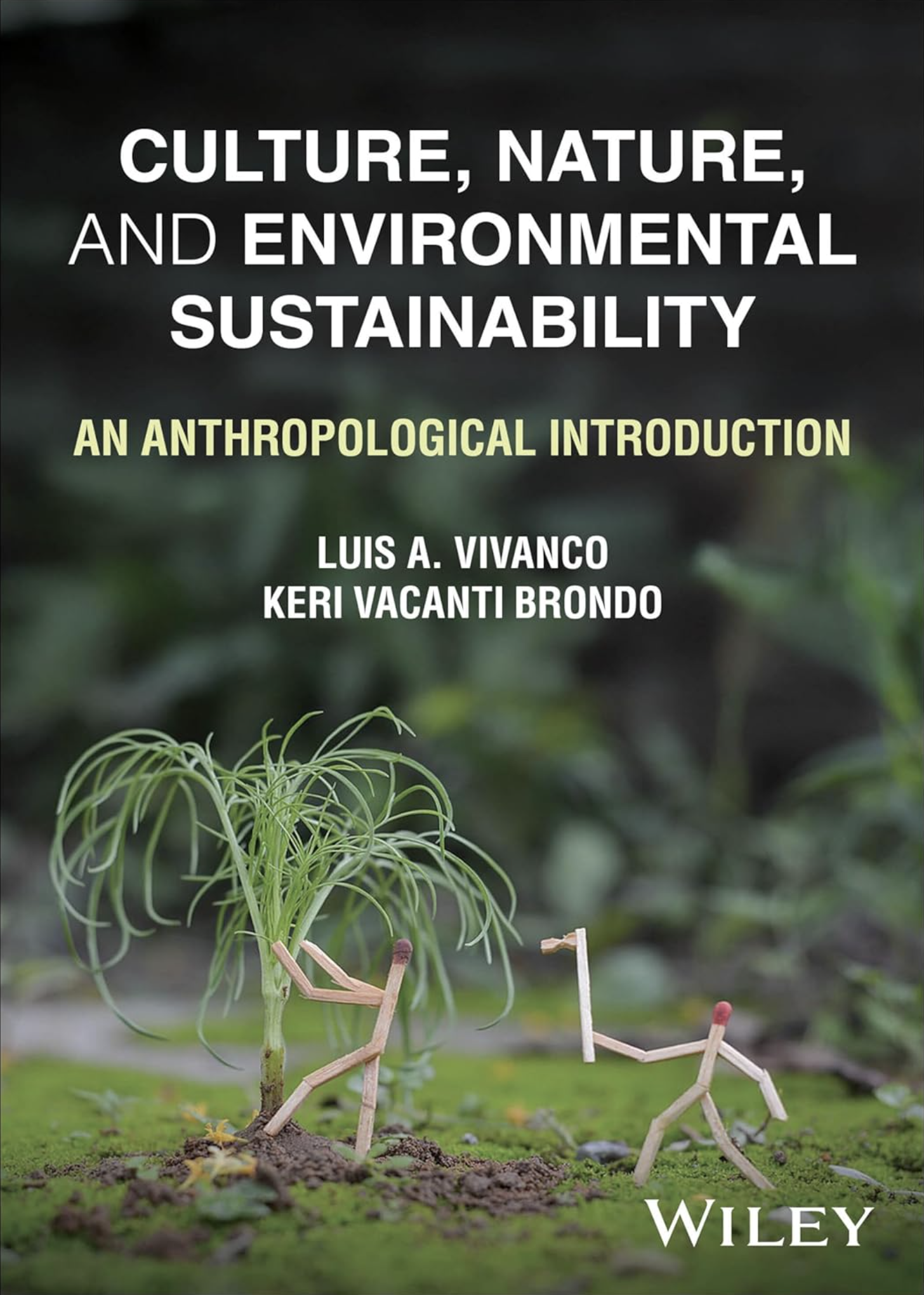 Book cover for 